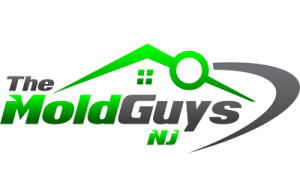 The Mold Guys NJ, LLC