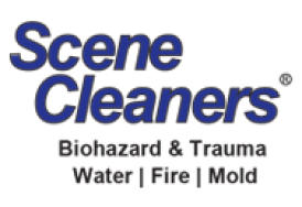 Scene Cleaners Ltd