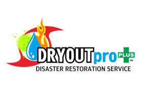DRYOUTpro+