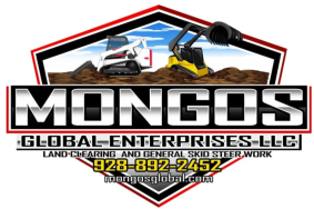 Mongos Global Enterprises LLC