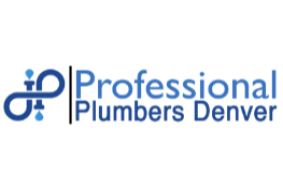 Professional Plumbers Denver