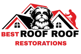 Best roof roof restoration