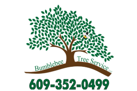 Bumblebee Tree Service LLC
