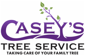 Casey's Tree Service LLC