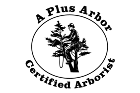 A Plus Arbor LLC