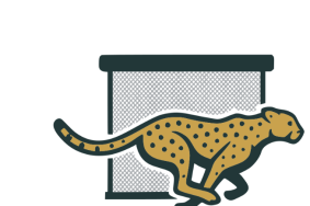 Cheetah Screens