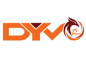 Dyvo Phoenix Llc