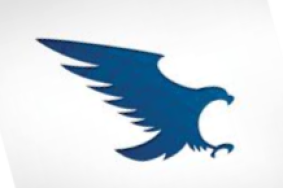Eagle Carports