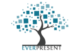 EverPresent, Inc.