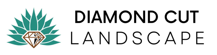 Diamond Cut Landscape