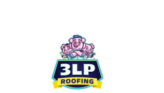 3LP Roofing